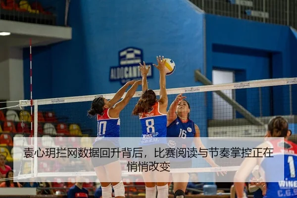 img_1780855138856_61_2_829.jpg